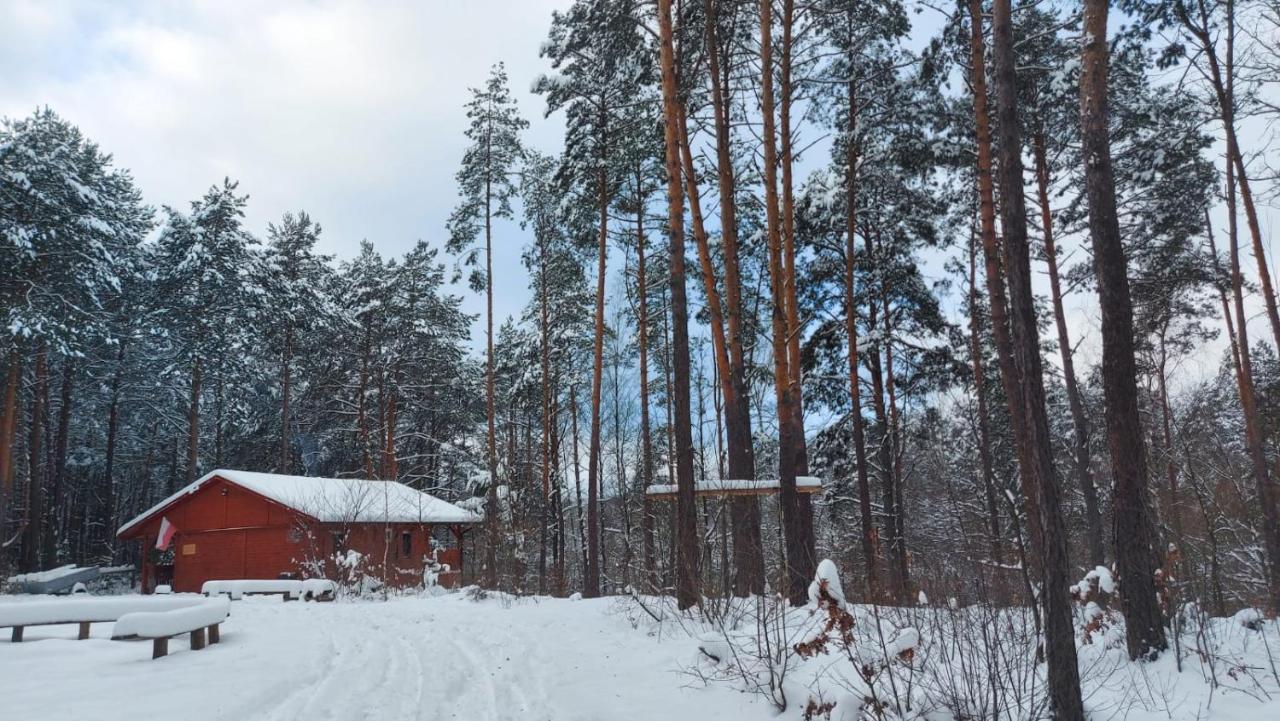 Domki w Sosnowym Lesie Rembow Zewnętrze zdjęcie